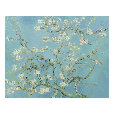Van Gogh Turquoise עגילים בציפוי כסף
