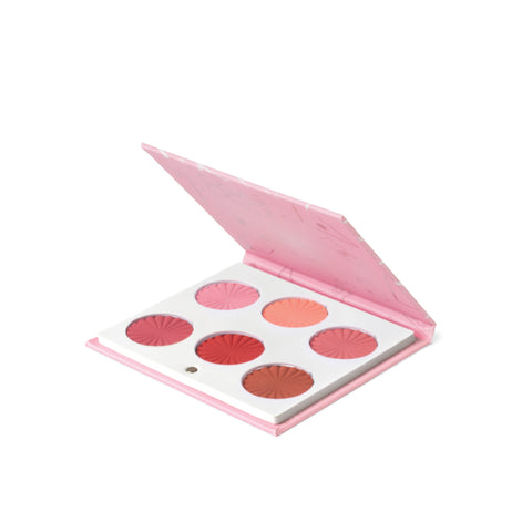 OFRA CHARM YOUR CHEEKS PALETTE- פלטת סמקים